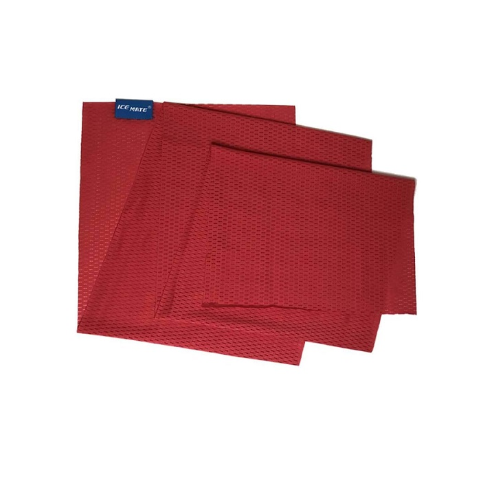 картинка N-Rit охлаждающее полотенце IceMate Cool Towel Single 2023 pL от интернет-магазина Тибет
