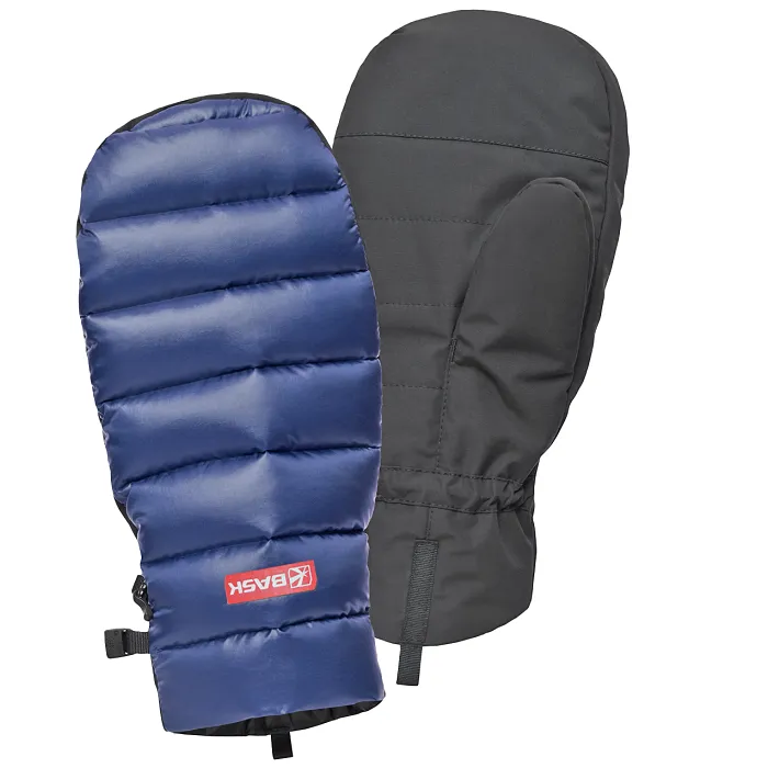 картинка Bask рукавицы пуховые D-Tube Mitts от интернет-магазина Тибет