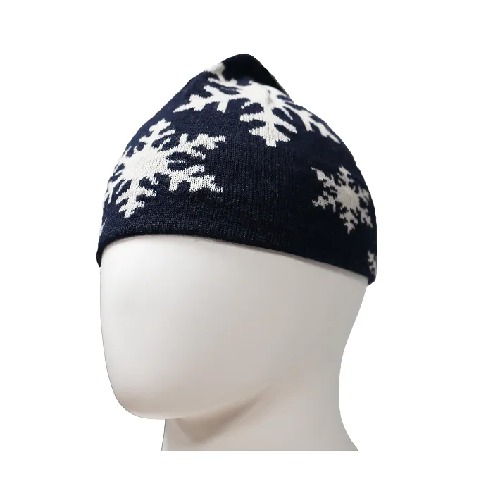 картинка Seger шапка Osnabruck WS от интернет-магазина Тибет