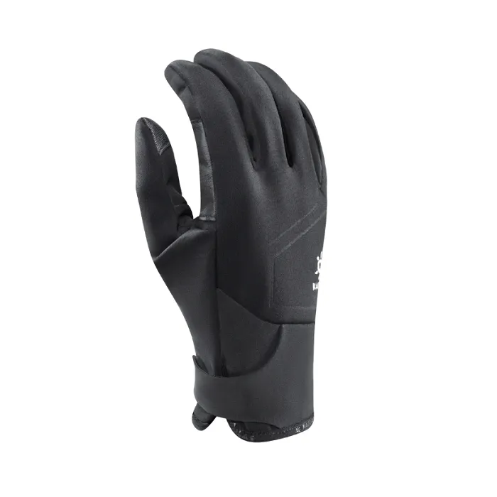 картинка Kailas перчатки Wind Master II Waterproof GTX W's  от интернет-магазина Тибет