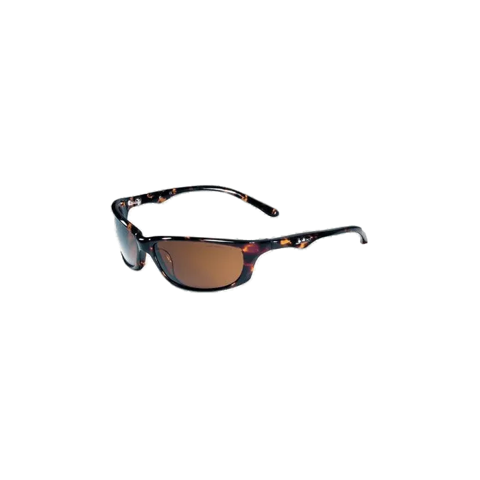картинка Julbo очки Misty 196 2 13 от интернет-магазина Тибет