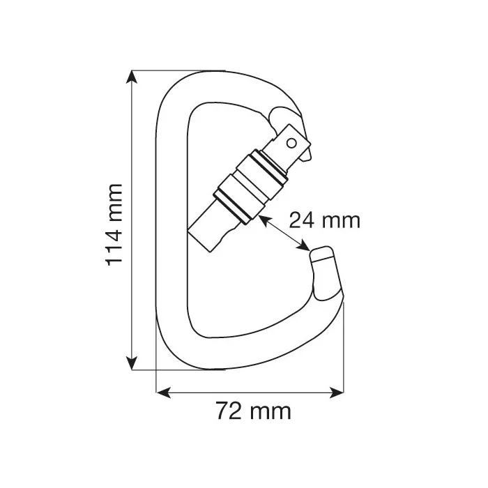 картинка Camp карабин D PRO Lock от интернет-магазина Тибет