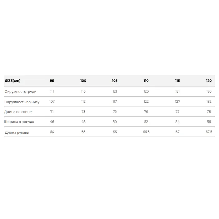 картинка Black Yak куртка мембранная Vision GTX от интернет-магазина Тибет