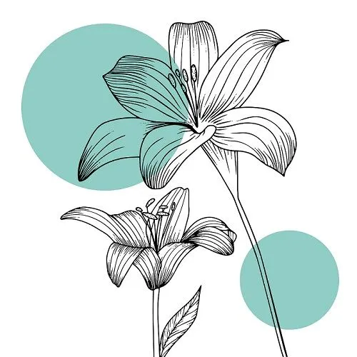 flower flower