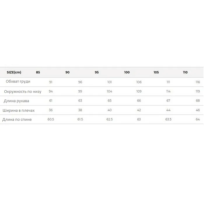 картинка Black Yak куртка мембранная Vision GTX W's от интернет-магазина Тибет