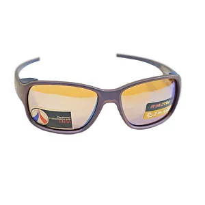 Julbo очки Monterosa 2 542 36 80