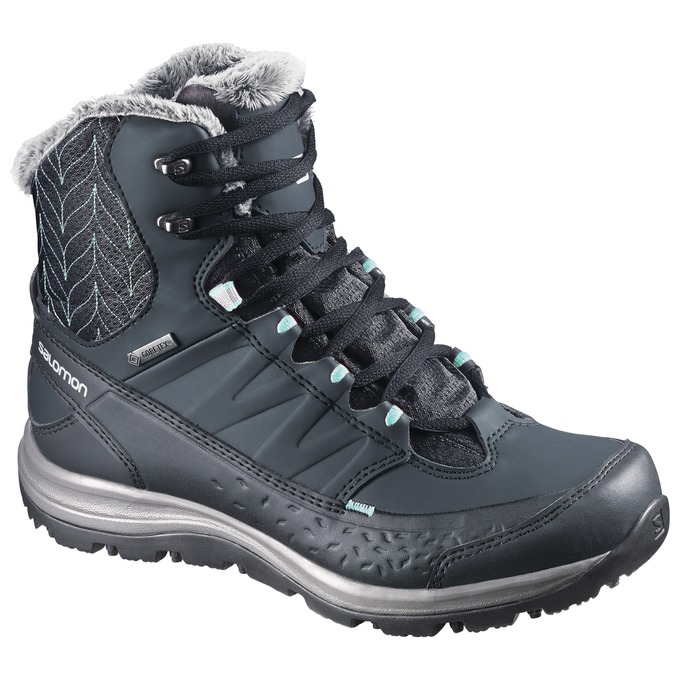 картинка Salomon ботинки женские Kaina Mid GTX от интернет-магазина Тибет