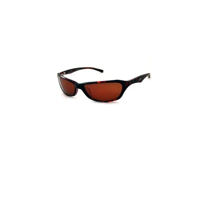 картинка Julbo очки Magnet 198 2 13 от интернет-магазина Тибет